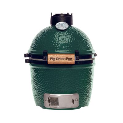 BGE Mini 