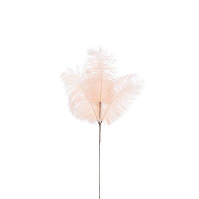 Tige de plumes blanc cassée