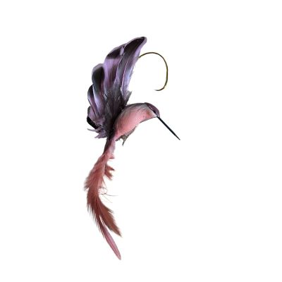 Colibri à clip