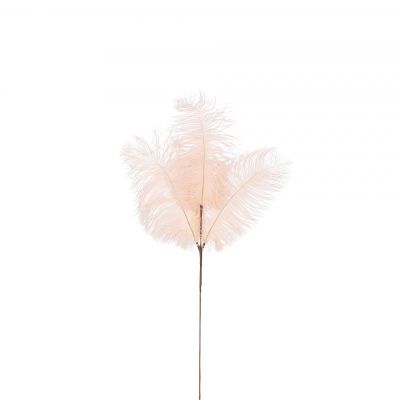 Tige de plumes blanc cassée