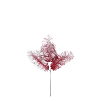 Branche à plume rouge