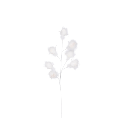 Branche à plumes blanche