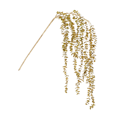 Branche d'eucalyptus dorée