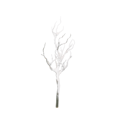 Branche de Noël enneigée