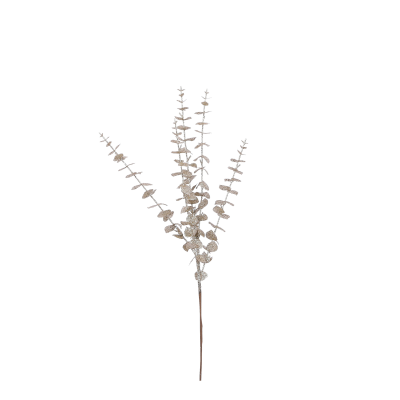 Branche d'eucalyptus avec paillettes