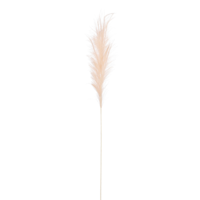 Herbe panache blanc cassée 