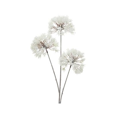 Boules de fleurs sur tige blanc givré