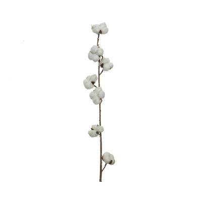 Fleurs de coton sur tige 