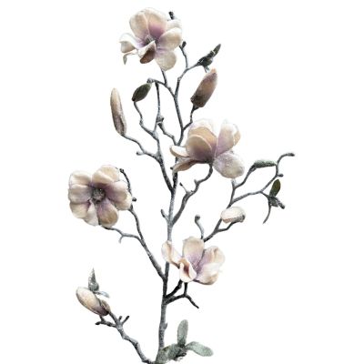 Magnolia beige 