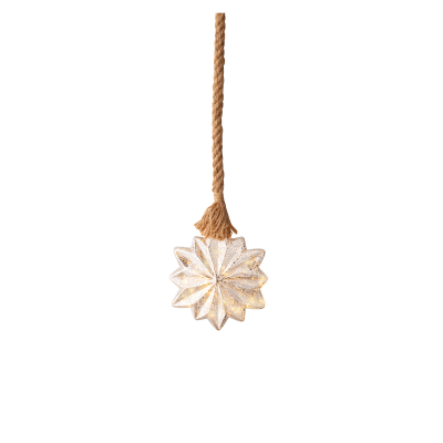 Micro led etoile fixe bo intérieur - dia19.00-h25.00cm-15l - argent/blanc classique 