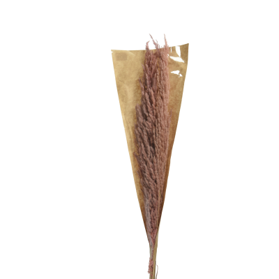 Botte de 3 pampas vieux rose 