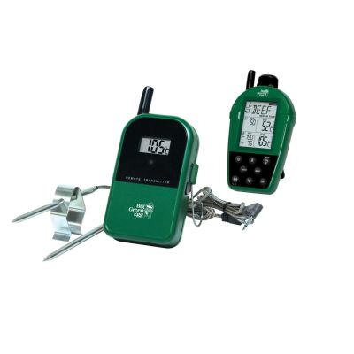 Thermomètre sonde à distance
