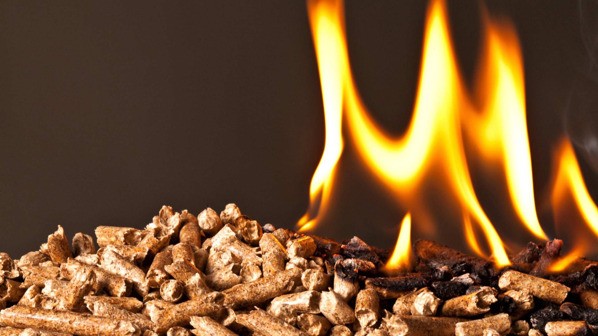 Le barbecue à pellet Broil King : Un choix innovant pour combiner fumage et grillades parfaites