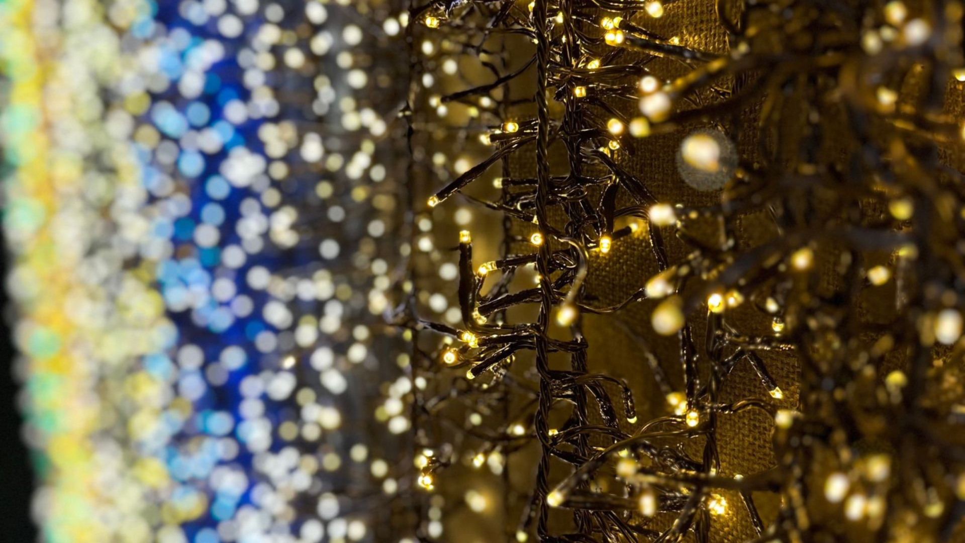 Décoration de fête : choisir des lumières LED pour Noël